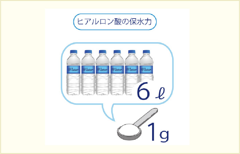 ヒアルロン酸の保水力