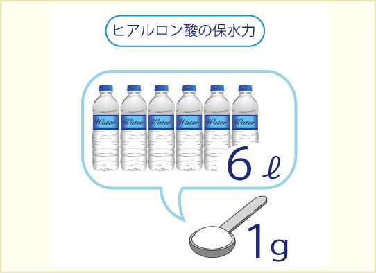 ヒアルロン酸の保水力