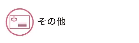 その他