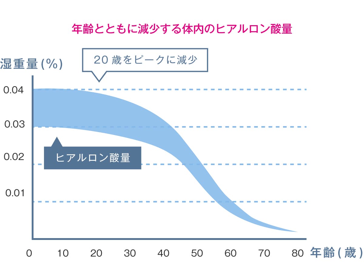 年齢とともに減少する体内のヒアルロン酸量