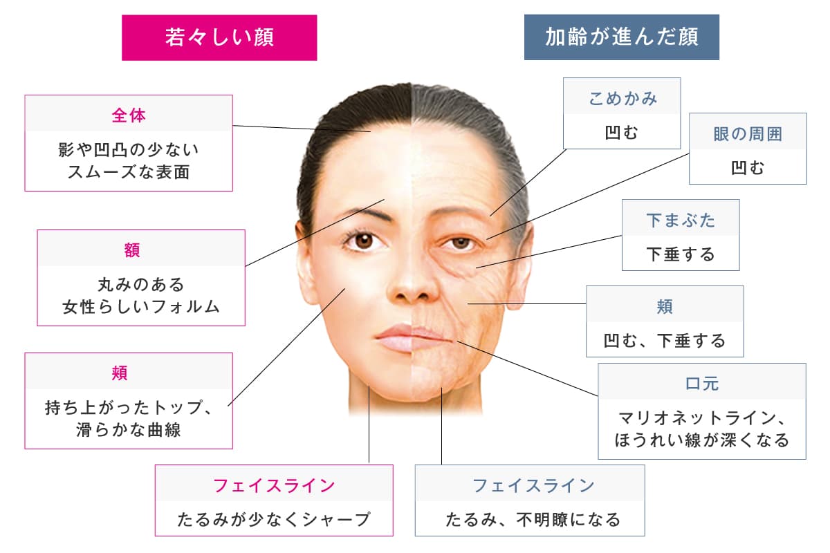 加齢による顔の変化