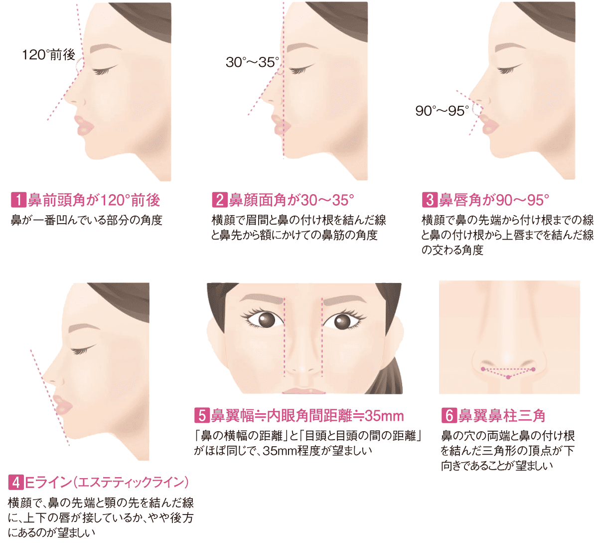 日本人女性における鼻の美の基準