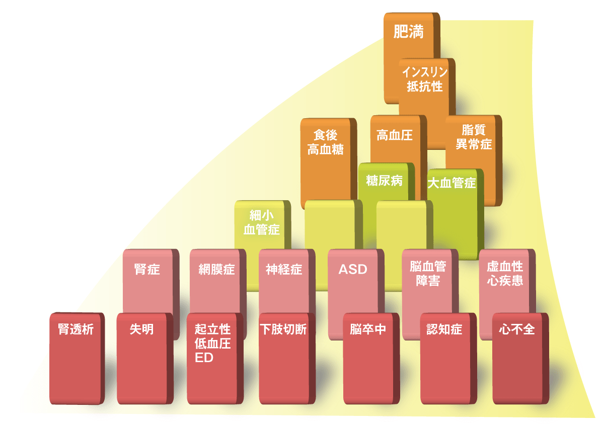 メタボリックドミノ