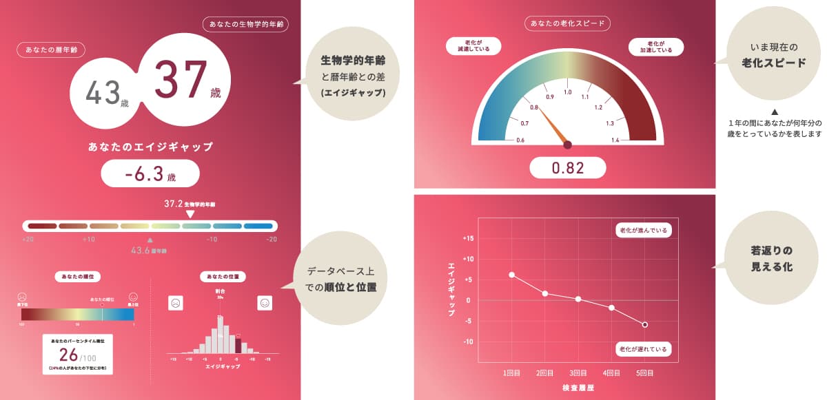 エピクロックテストの検査結果レポートイメージ