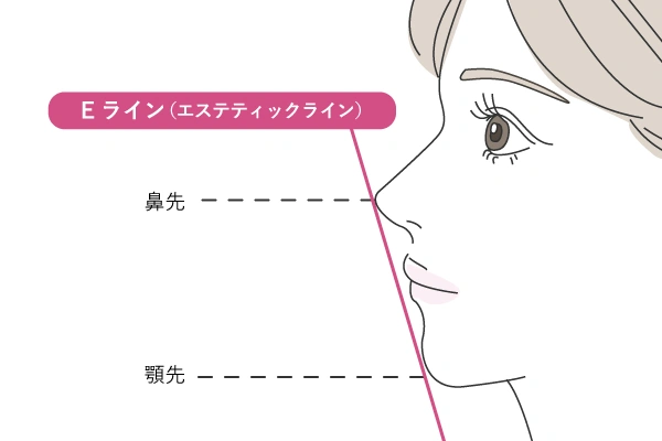 Eライン（エステティックライン）の解説イラスト