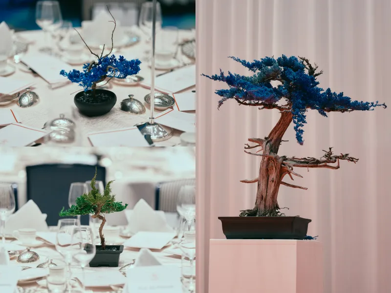 会場内、テーブル上に展示された枯れ盆栽
