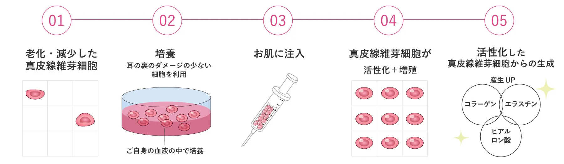 真皮線維芽細胞療法（肌の再生医療）なら自由が丘クリニック