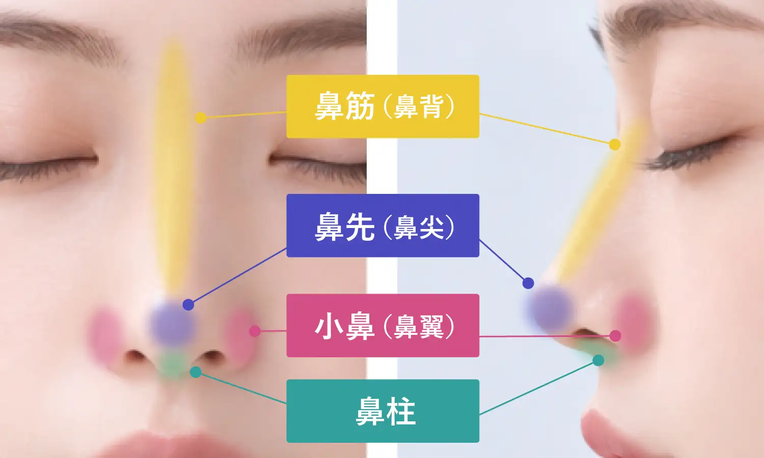 鼻の術式一覧